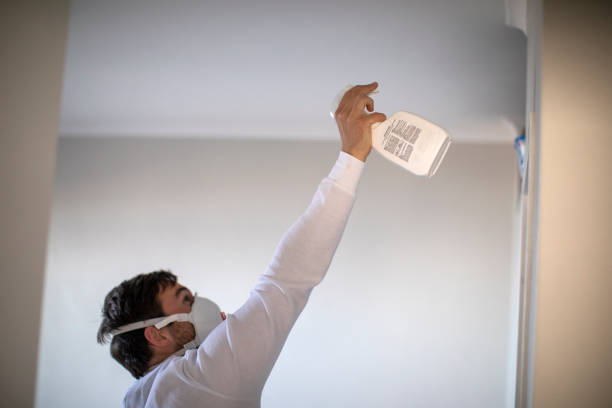 Best Local Mold Removal Service  in Caldwell, ID